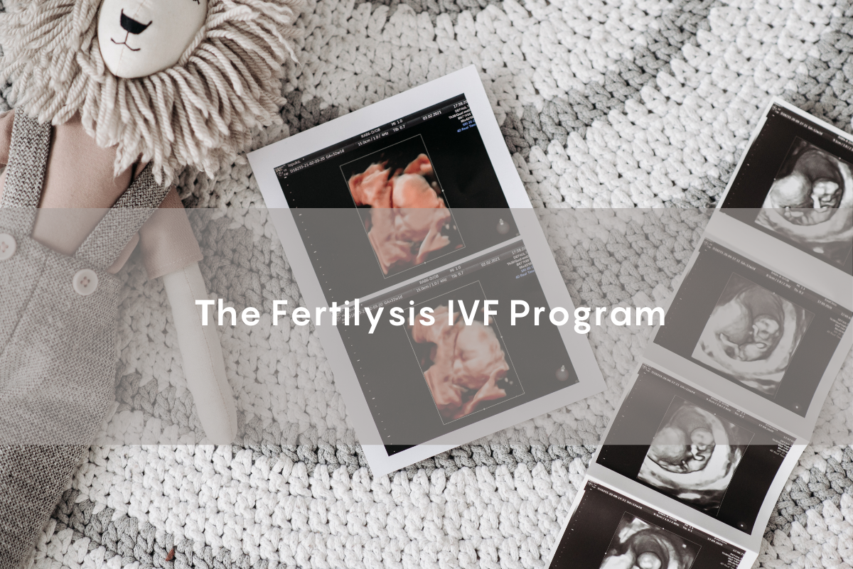 Image of a couple with a blanket, featuring the text 'The Fertilysis IVF Program,' symbolizing hope and support for IVF treatment.